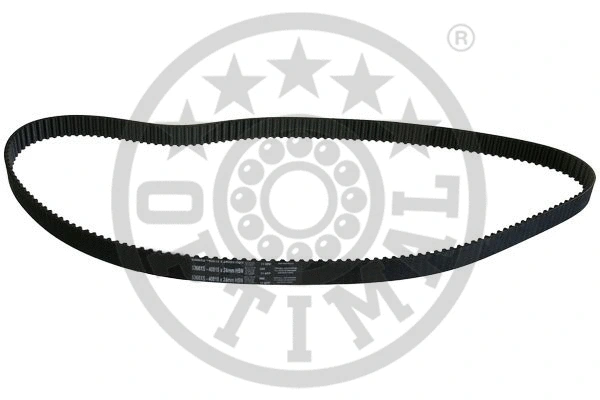 Timing Belt (R-1253)