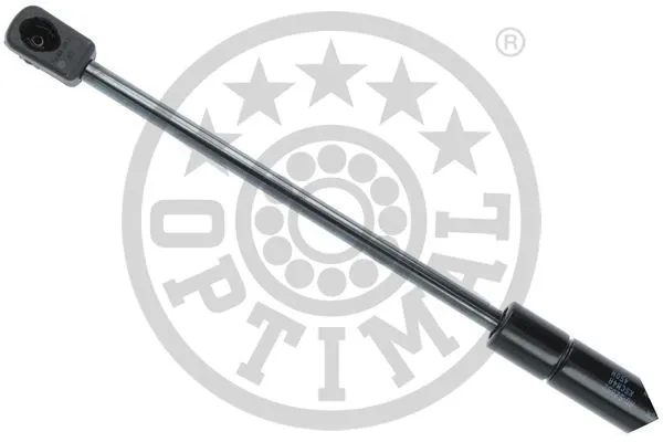 Gas Spring, boot/cargo area