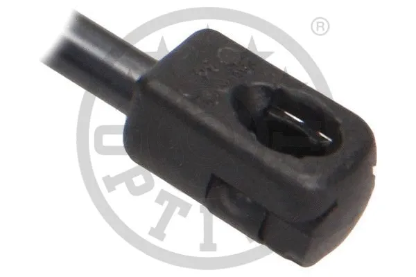 Gas Spring, boot/cargo area