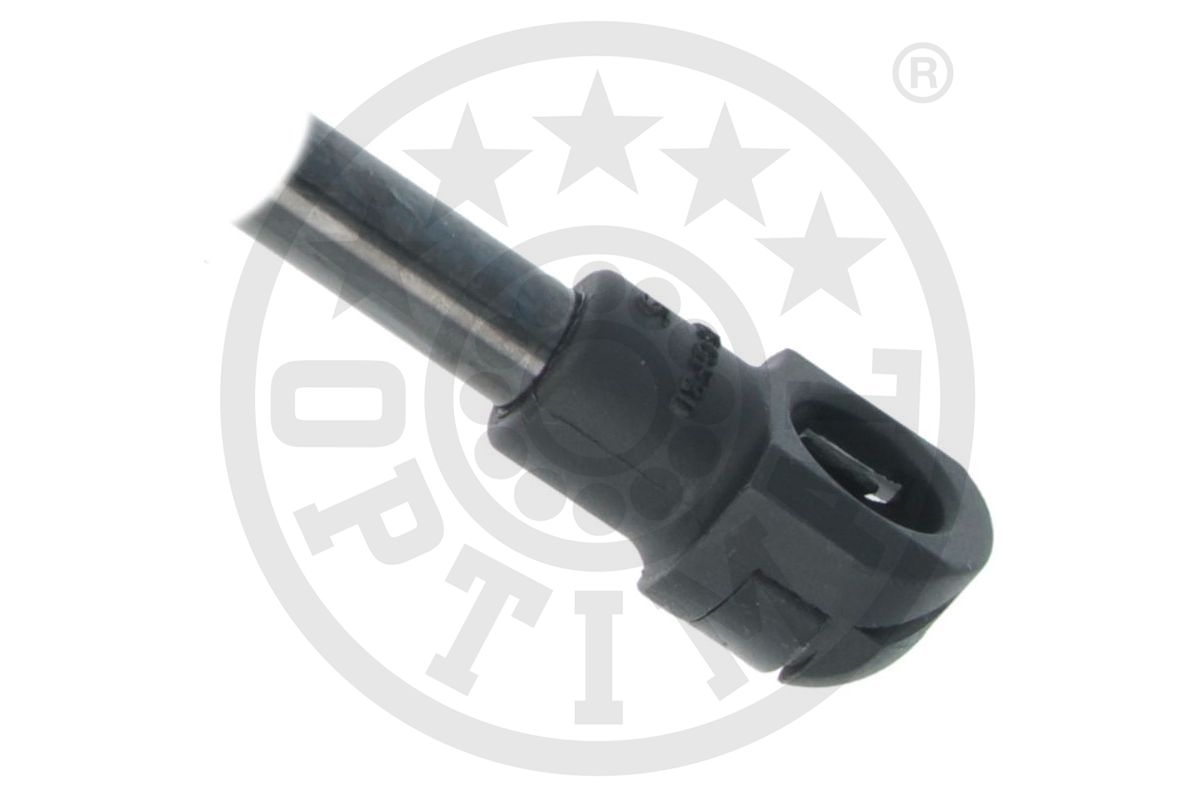 Gas Spring, boot/cargo area