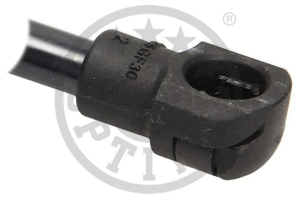 Gas Spring, boot/cargo area