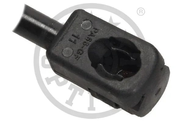 Gas Spring, boot/cargo area