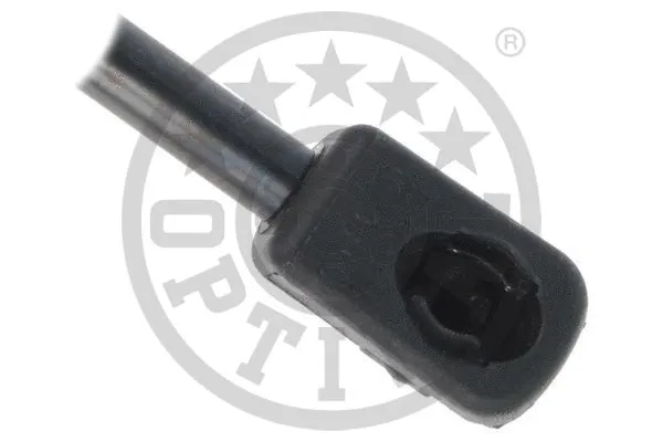 Gas Spring, boot/cargo area