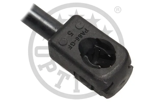 Gas Spring, boot/cargo area
