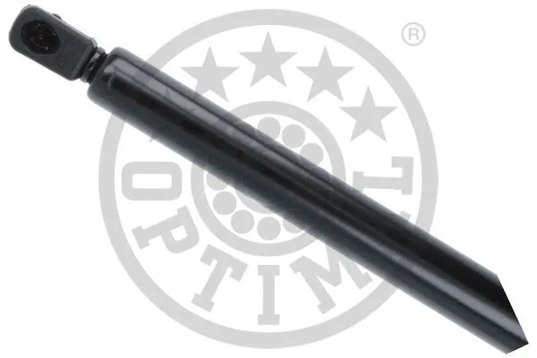 Gas Spring, boot/cargo area