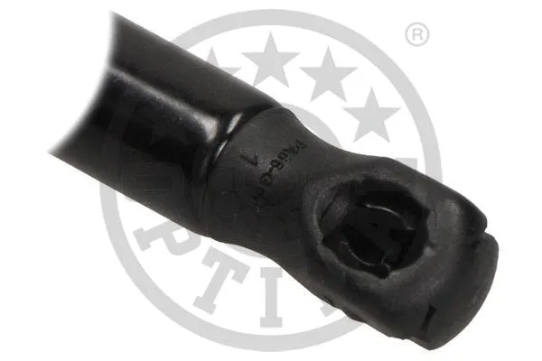 Gas Spring, boot/cargo area