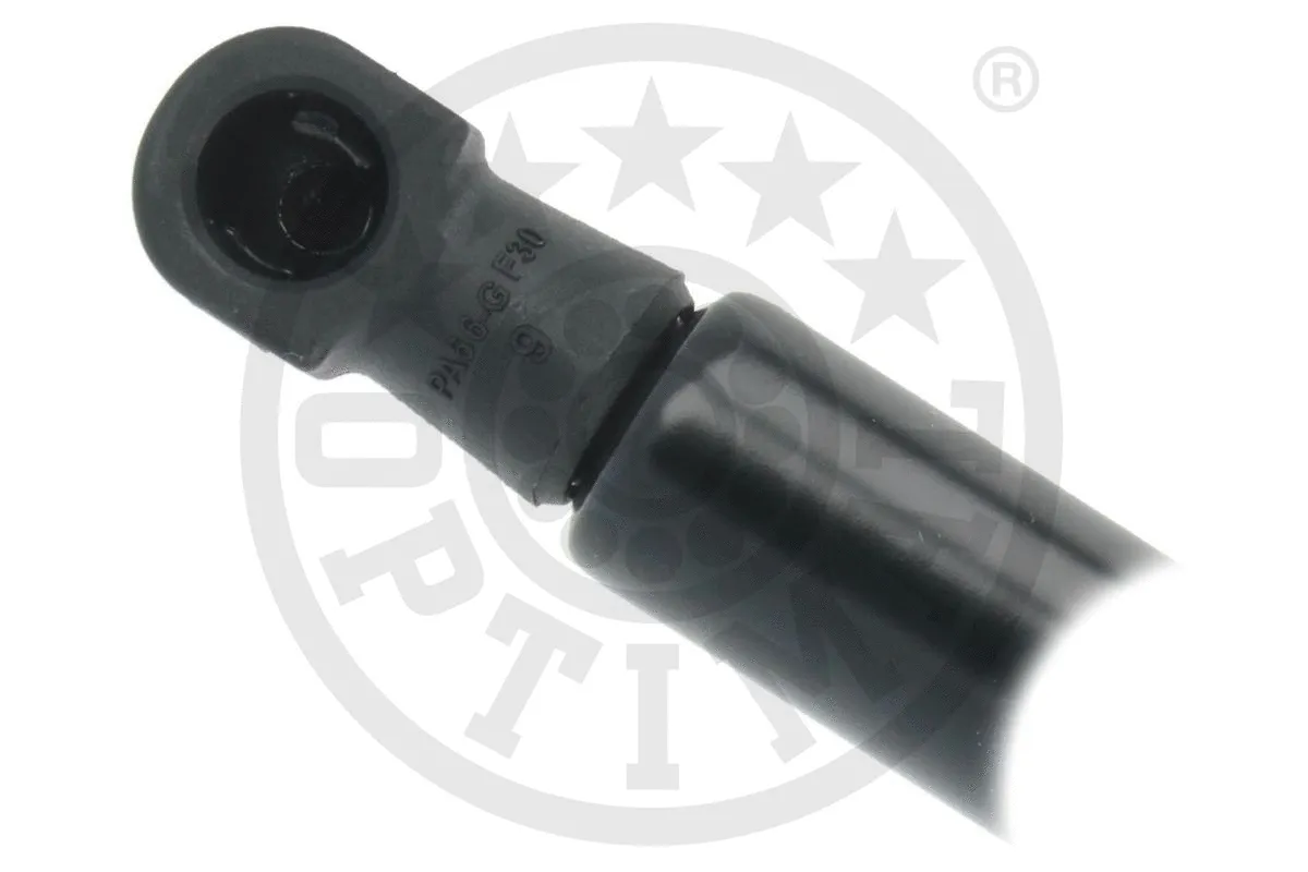 Gas Spring, boot/cargo area