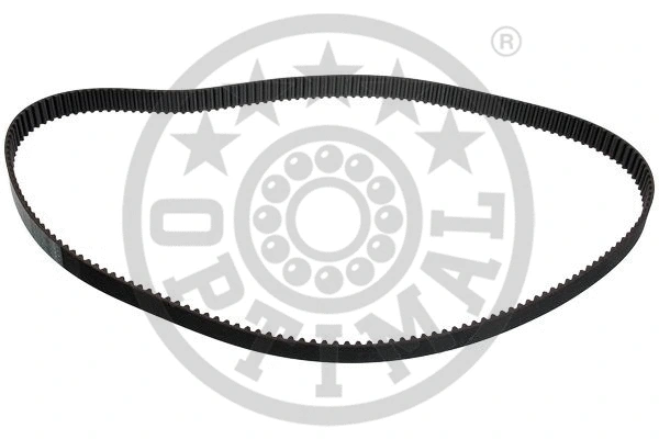 Timing Belt (R-1144)