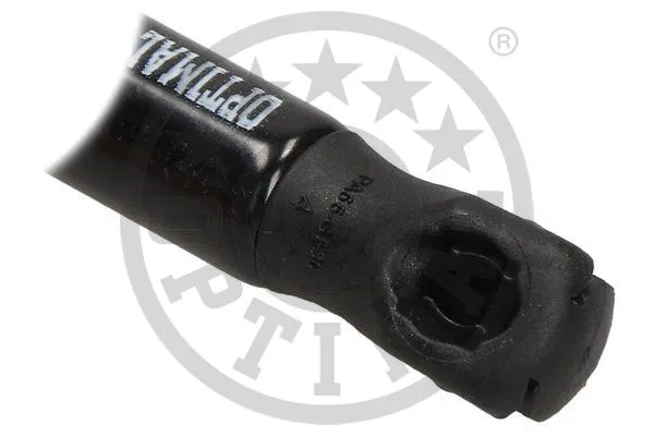 Gas Spring, boot/cargo area