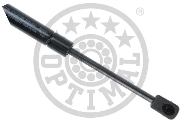 Gas Spring, boot/cargo area