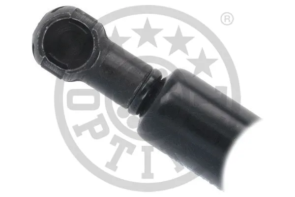 Gas Spring, boot/cargo area