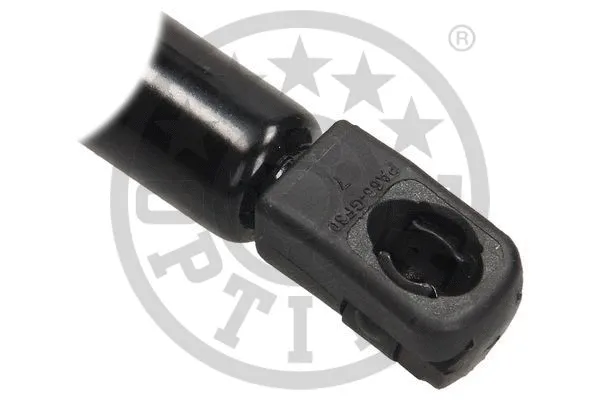 Gas Spring, boot/cargo area