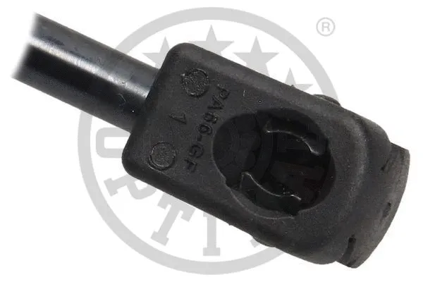 Gas Spring, boot/cargo area