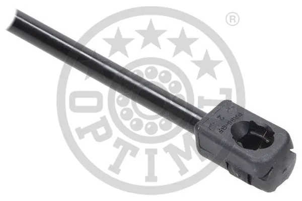 Gas Spring, boot/cargo area