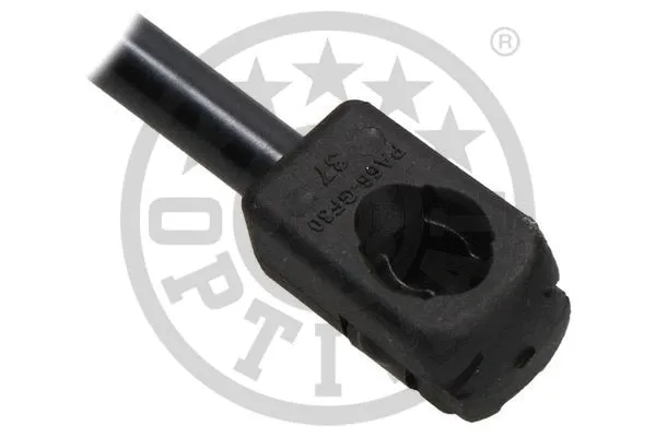Gas Spring, boot/cargo area