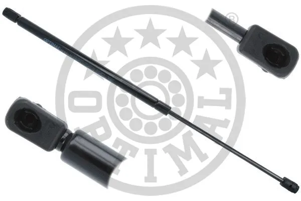 Gas Spring, boot/cargo area (AG-51399)