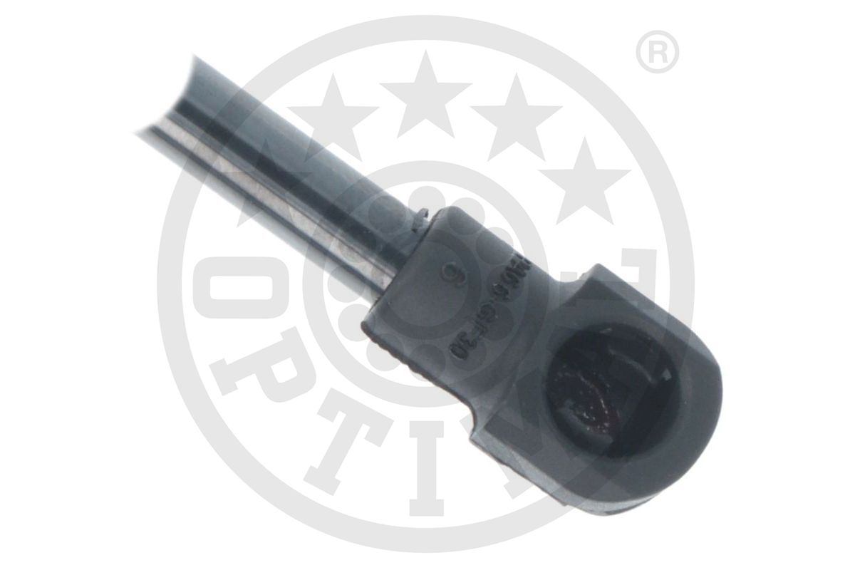 Gas Spring, boot/cargo area