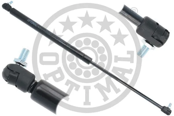 Gas Spring, boot/cargo area (AG-51893)