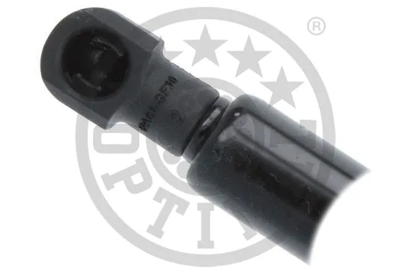 Gas Spring, boot/cargo area