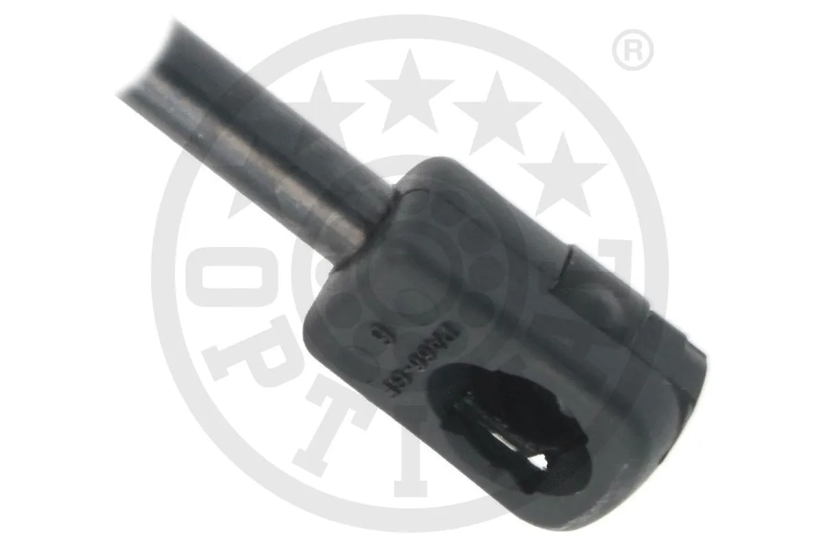 Gas Spring, boot/cargo area