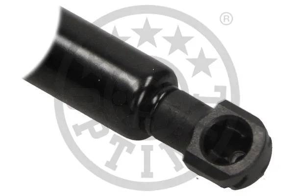 Gas Spring, boot/cargo area