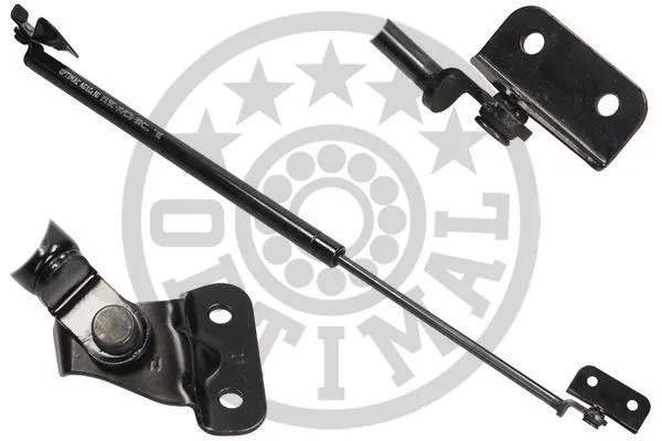 Gas Spring, boot/cargo area (AG-39060)