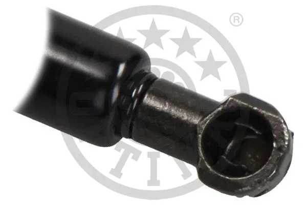 Gas Spring, boot/cargo area