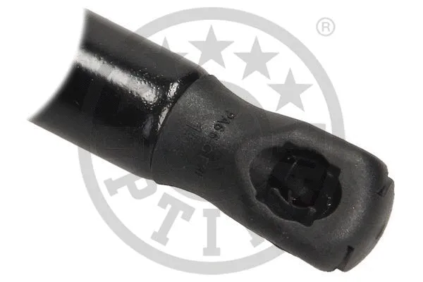Gas Spring, boot/cargo area
