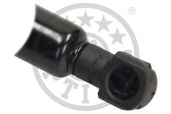 Gas Spring, boot/cargo area