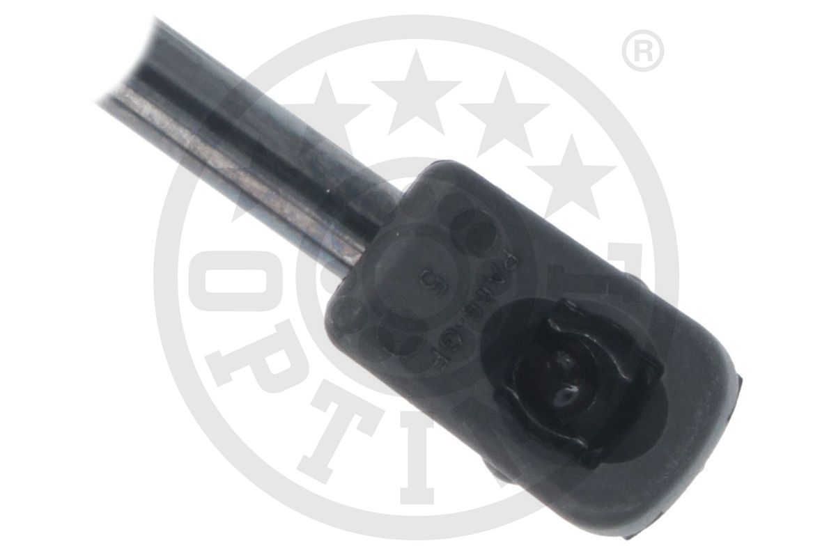 Gas Spring, boot/cargo area