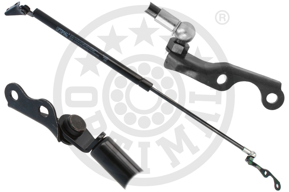 Gas Spring, boot/cargo area (AG-52392)