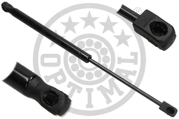 Gas Spring, boot/cargo area (AG-40341)