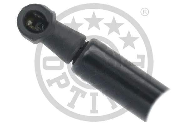 Gas Spring, boot/cargo area