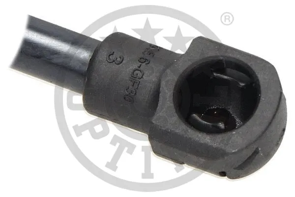 Gas Spring, boot/cargo area