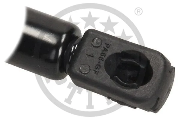 Gas Spring, boot/cargo area