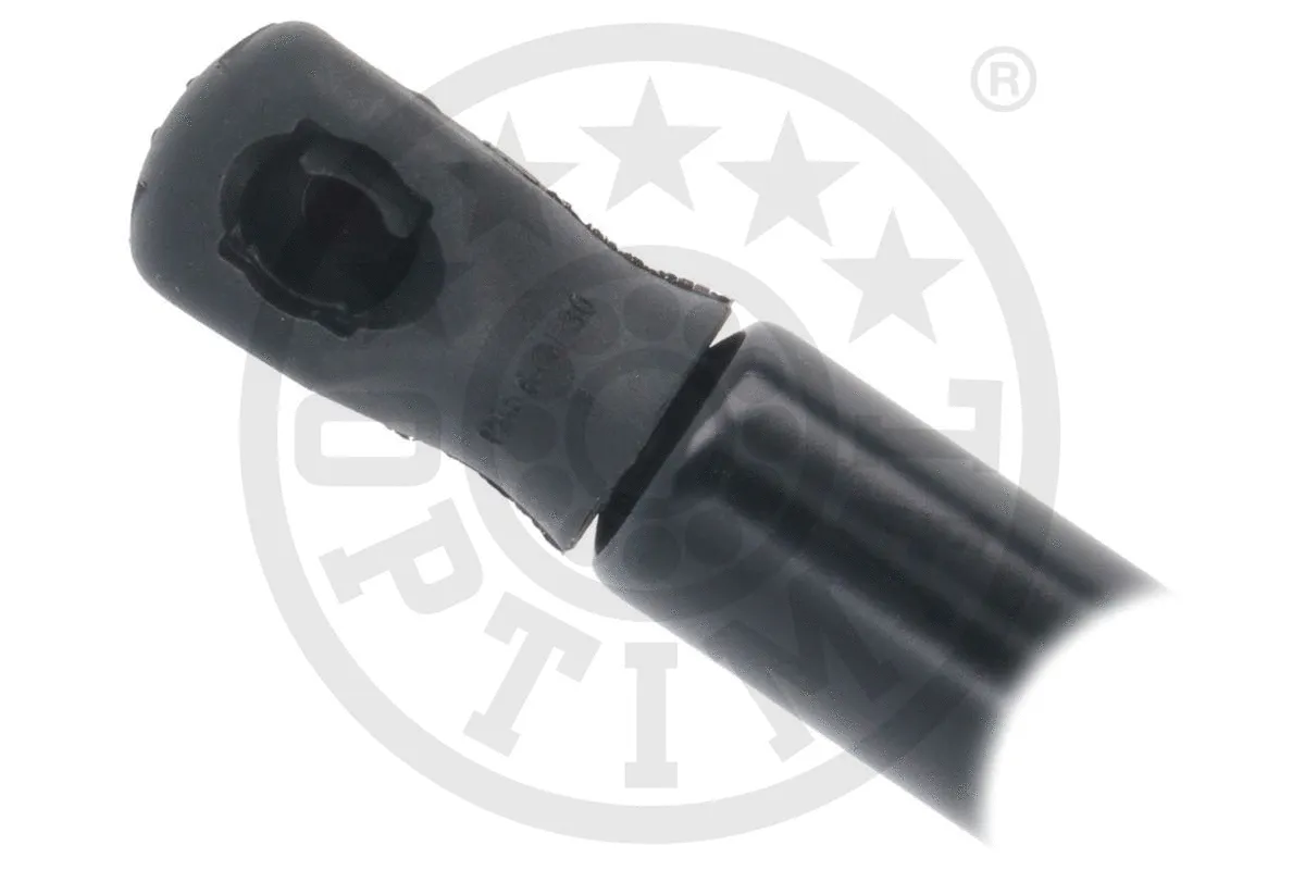 Gas Spring, boot/cargo area