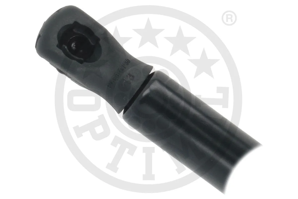 Gas Spring, boot/cargo area