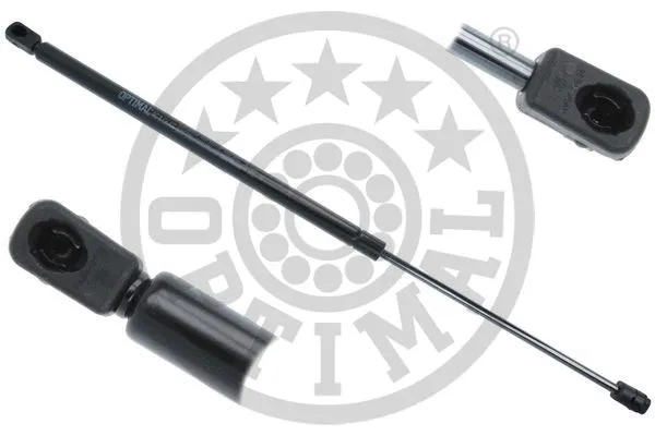Gas Spring, boot/cargo area (AG-50247)