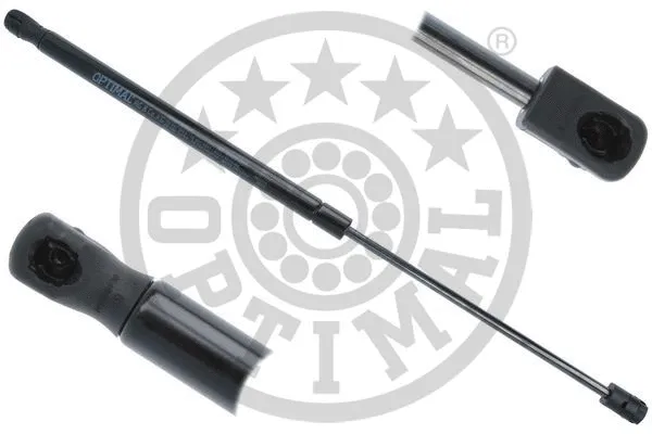 Gas Spring, boot/cargo area (AG-51798)
