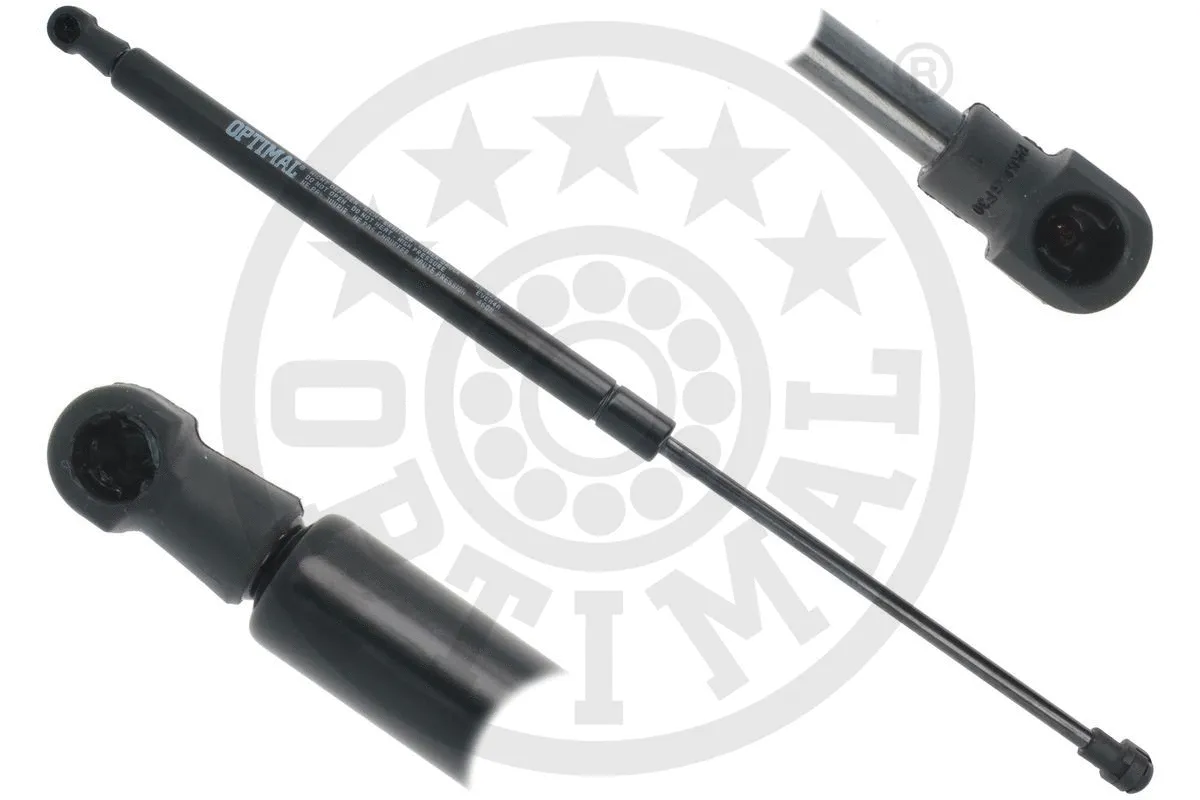 Gas Spring, boot/cargo area (AG-52117)