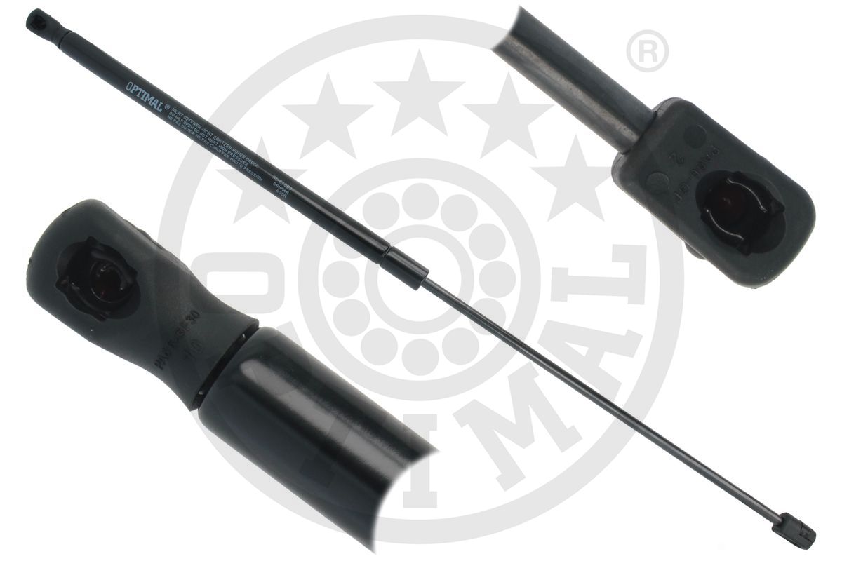 Gas Spring, boot/cargo area (AG-51859)