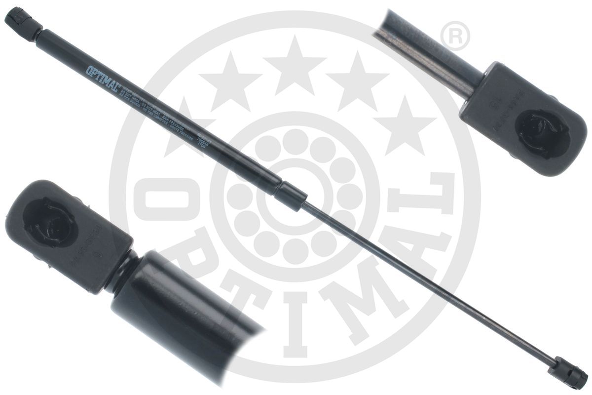 Gas Spring, boot/cargo area (AG-52165)