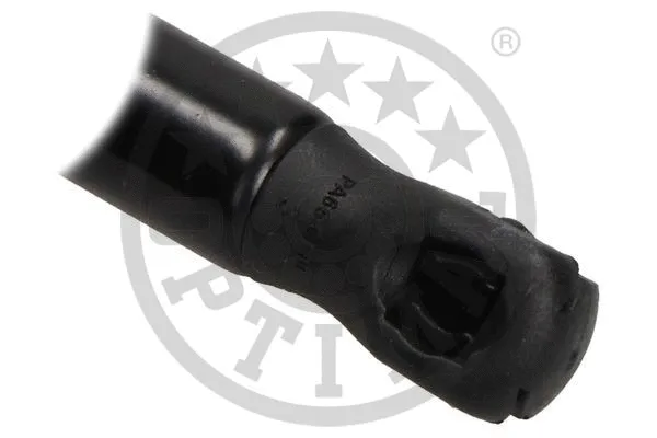 Gas Spring, boot/cargo area