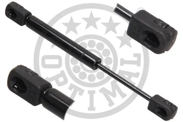 Gas Spring, boot/cargo area (AG-39041)