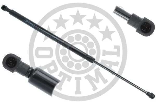 Gas Spring, boot/cargo area (AG-50149)