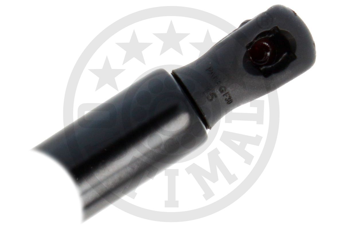 Gas Spring, boot/cargo area