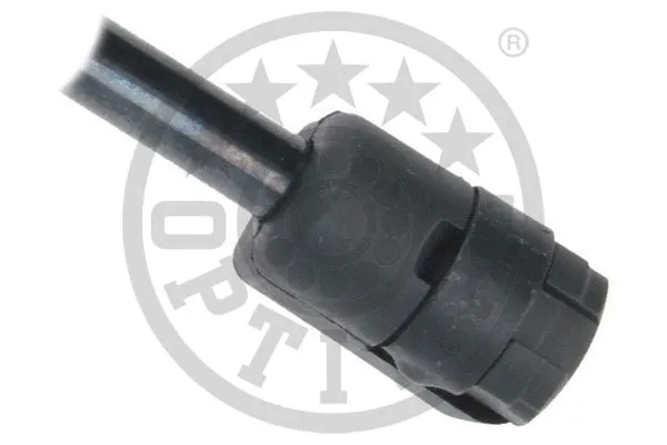 Gas Spring, boot/cargo area