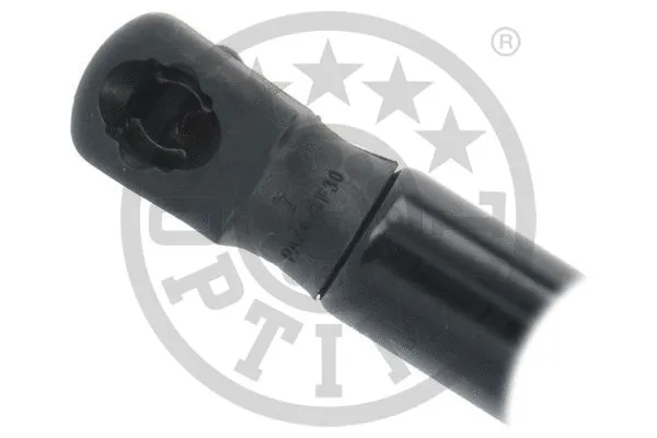 Gas Spring, boot/cargo area