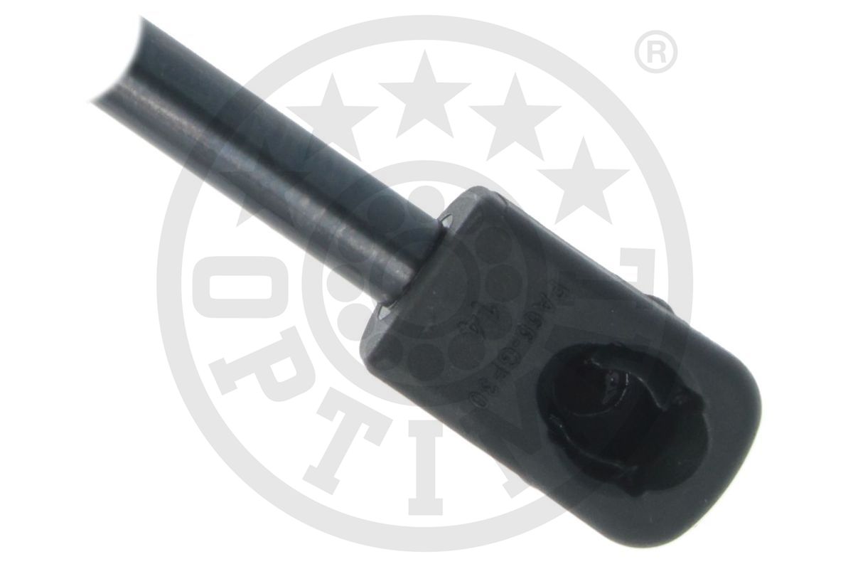 Gas Spring, boot/cargo area