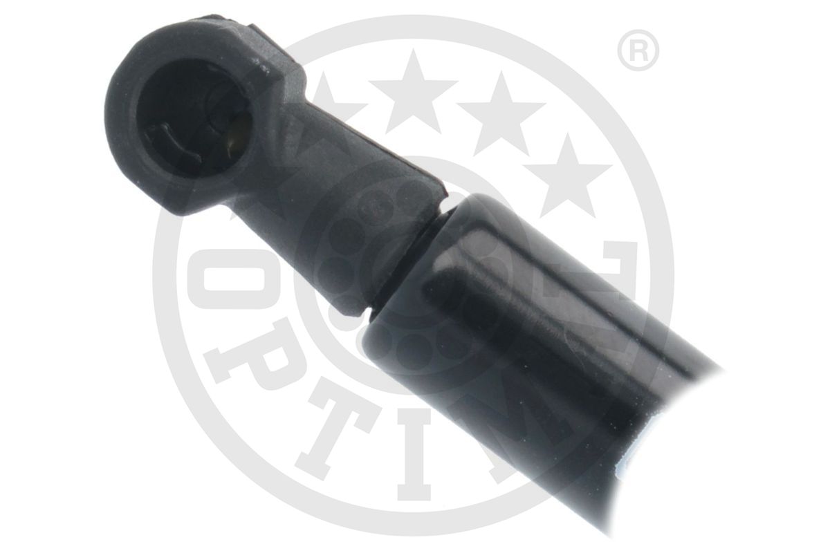 Gas Spring, boot/cargo area